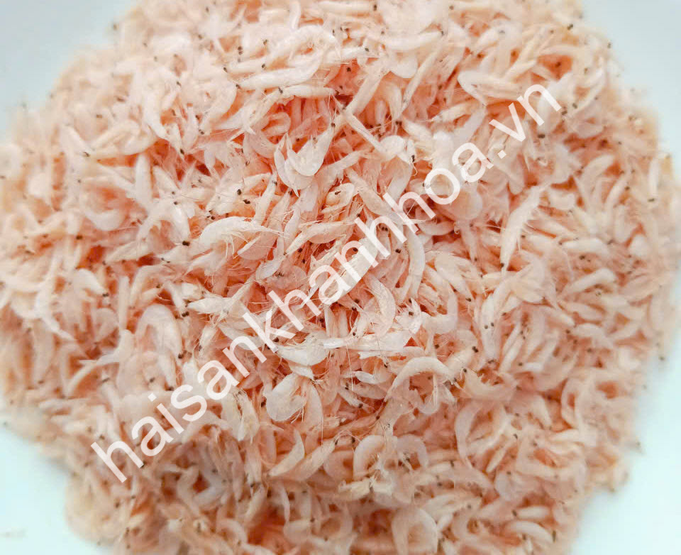 cung cấp mực khô, tôm khô, cá khô