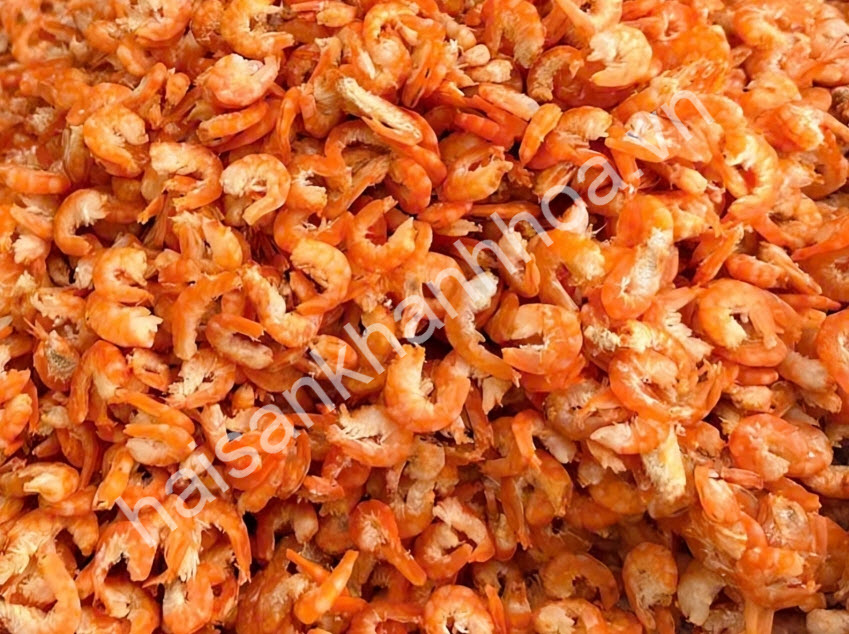 cung cấp mực khô, tôm khô, cá khô