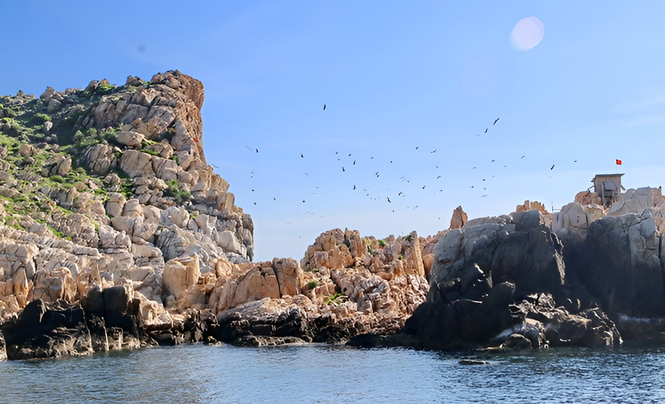 Chim yến bay trên đảo ở Khánh Hòa