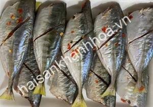 Cá chỉ ngân 1 nắng