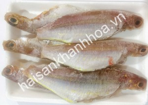 Cá đổng một nắng